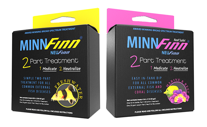 MinnFinn